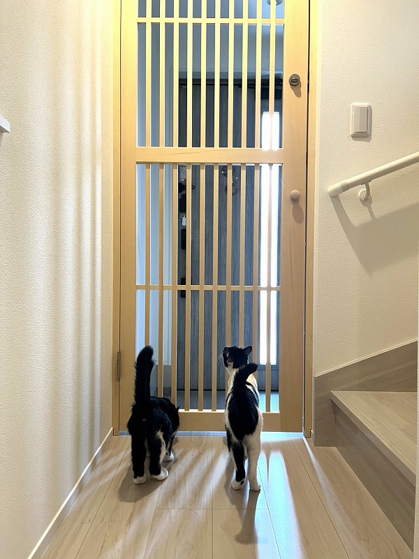 にゃん・DEフェンスとは